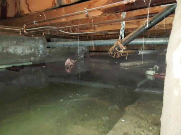 Aberdeen, OH Water damage restoration Company