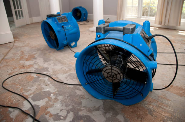 Best Flood damage cleanup  in Aberdeen, OH