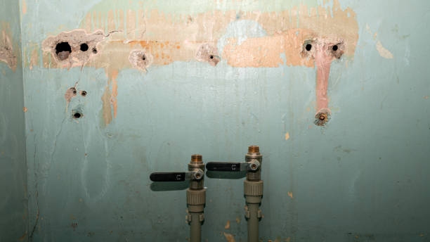 Best Ceiling water damage repair  in Aberdeen, OH