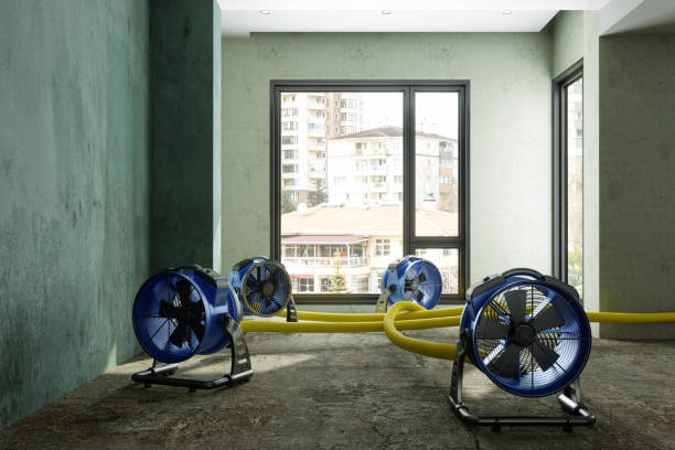 Best Water damage restoration near me  in Aberdeen, OH